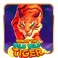 Year Of The Wild Wild Tiger 